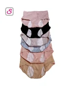 Anti Side Leakage Period Safety Knit Panty SonariBD 10440 (6)