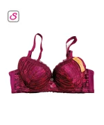 Bee Na Elegance Wired Padded Bra SonariBD 10386 (1)