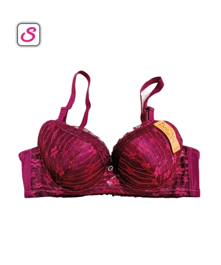Bee Na Elegance Wired Padded Bra SonariBD 10386 (1)