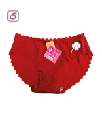Bee Na Luxurious Sexy Fancy Design Panty SonariBD 104011 (3)