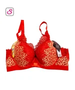 Elegance Comfortable Stick Padded Push Up Bra SonariBD 10351 (2)