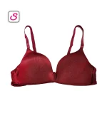 Super Cool Sexy Wire Free Padded Bra