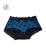 Elegant Super Comfortable Lace Panty SonariBD 104431 (5)