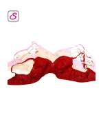 Like Me Rimzim Super Comfortable Cotton Bra SonariBD 10263 (1)