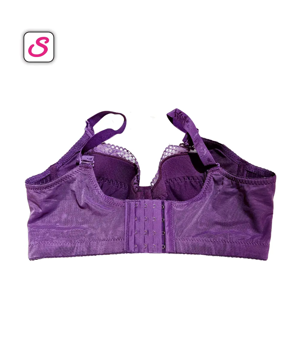 Luxurious Premium Sexy Wired Padded Bra SonariBD 10552 (1)