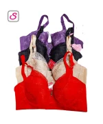 Luxurious Premium Sexy Wired Padded Bra SonariBD 10552 (3)