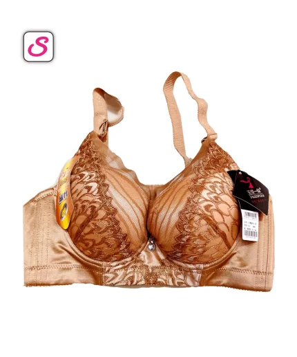 Elegance Super Comfortable Push Up Padded Bra