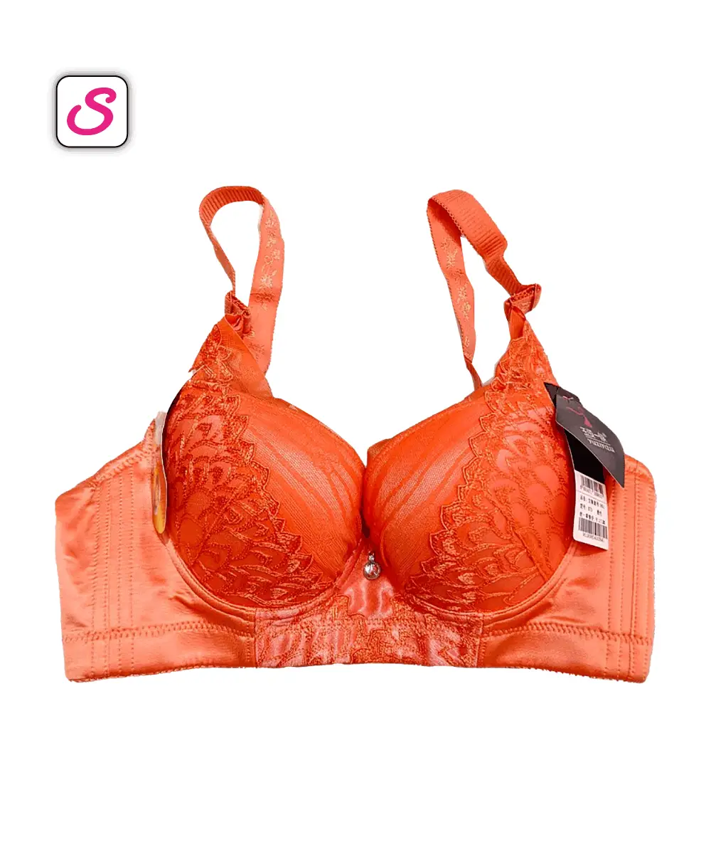 Elegance Super Comfortable Push Up Padded Bra