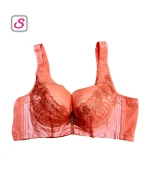 Premium Comfy Net Stick Padded Bra SonariBD 10350 (2)