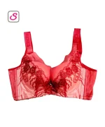 Premium Comfy Net Stick Padded Bra SonariBD 10350 (3)