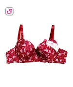 Super Comfortable Beautiful Wired Padded Bra SonariBD 10355 (1)