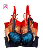 Super Gorgeous Padded Push Up Bra SonariBD 10353 (1)
