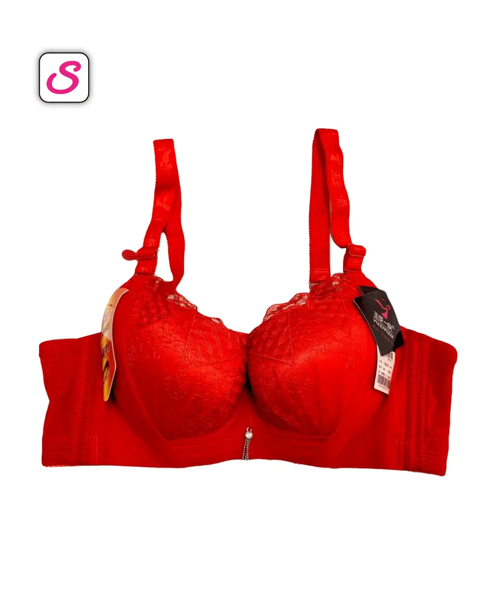 Super Gorgeous Padded Push Up Bra SonariBD 10353 (3)
