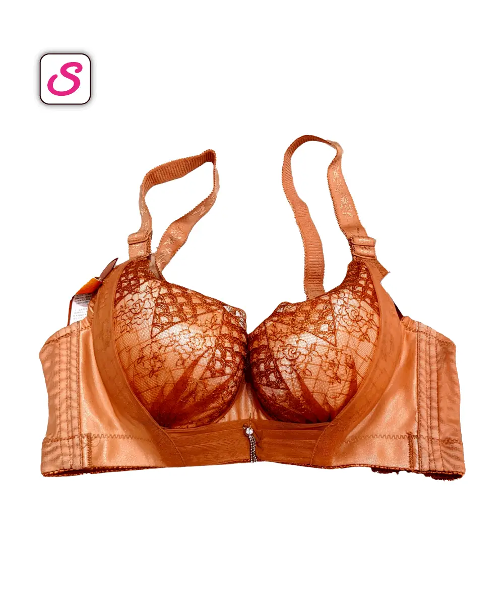 Super Gorgeous Padded Push Up Bra SonariBD 10353 (4)